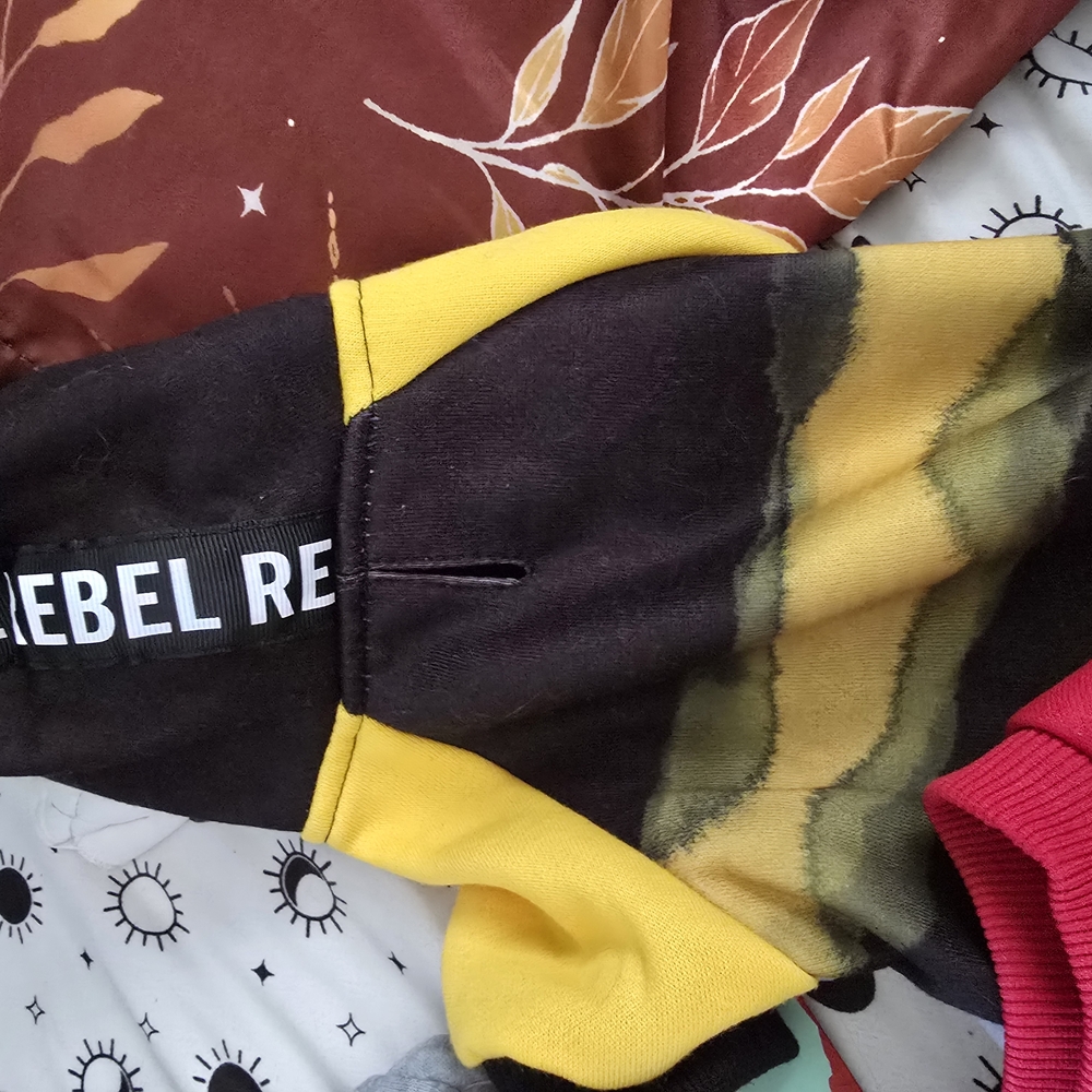 Colorful Small Pet Sweaters Collection - Picture 4 of 6